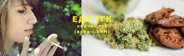 ПСИЛОЦИБИНОВЫЕ ГРИБЫ Гусев