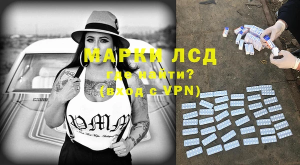 ПСИЛОЦИБИНОВЫЕ ГРИБЫ Гусев