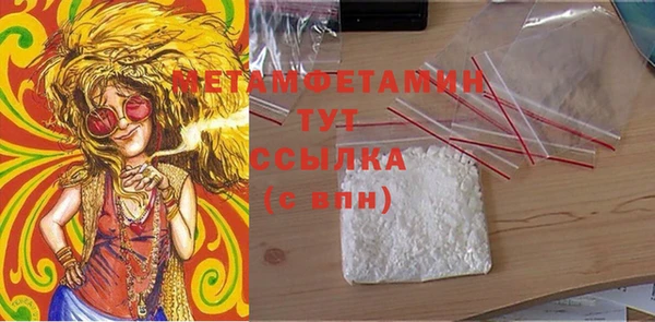 индика Горно-Алтайск