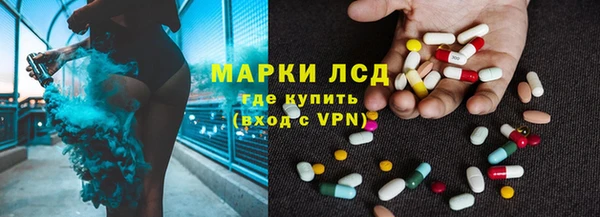 индика Горно-Алтайск