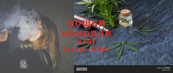 ПСИЛОЦИБИНОВЫЕ ГРИБЫ Горнозаводск